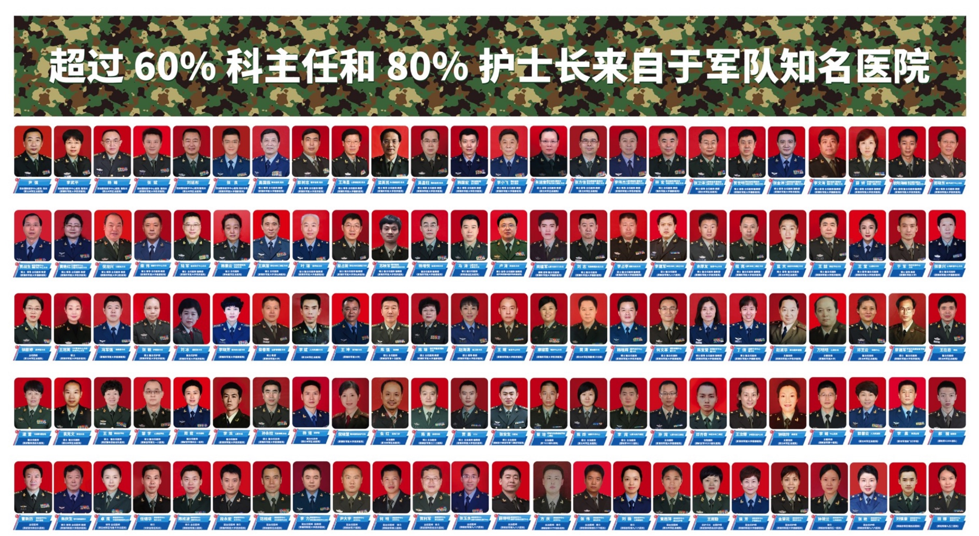 军队专家团队